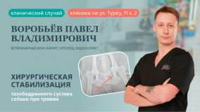Хирургическая стабилизация тазобедренного сустава Хирургическая стабилизация тазобедренного сустава