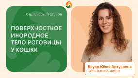 Инородное тело роговицы Инородное тело роговицы
