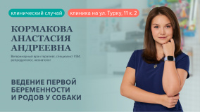 Ведение первой беременности и родов у собаки Ведение первой беременности и родов у собаки