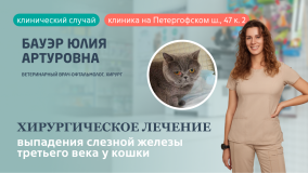 Хирургическое лечение выпадения слезной железы Хирургическое лечение выпадения слезной железы
